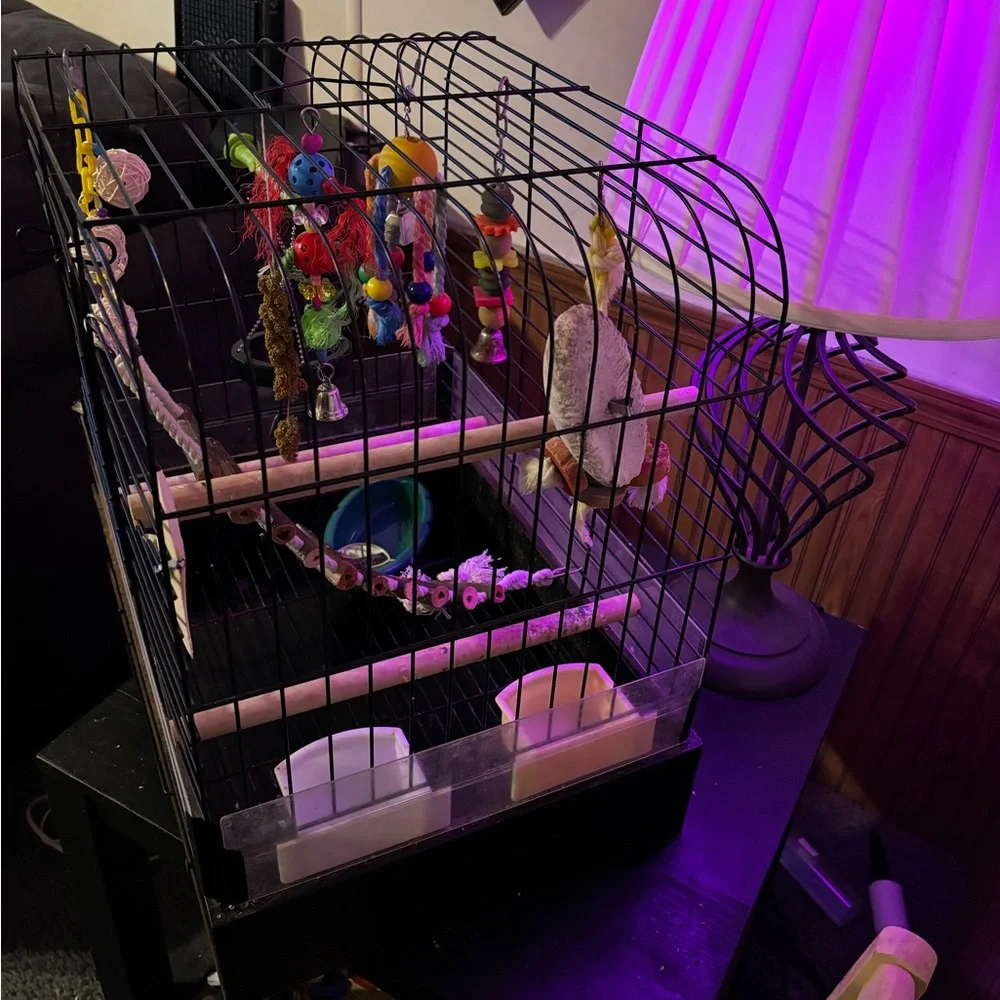 Bird cage with accessories and toys